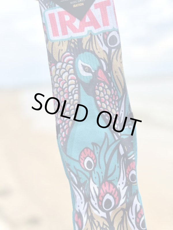 画像6: ラスト1足で終了 MERGE4 SOCKS / IRATION - Nora Peacock ソックス (6)