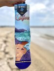 画像1: ラスト1足で終了 MERGE4 SOCKS / California Roots ソックス (1)