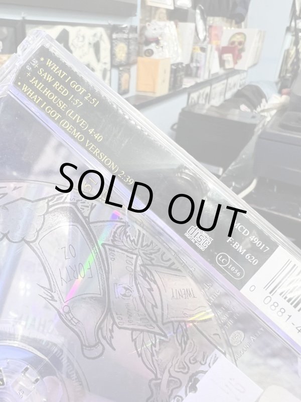 画像5: ラスト1枚で終了 ヴィンテージ 当時物 96's SUBLIME / WHAT I GOT 96年リリース シングルドイツ流通盤 MCD 49017 (5)